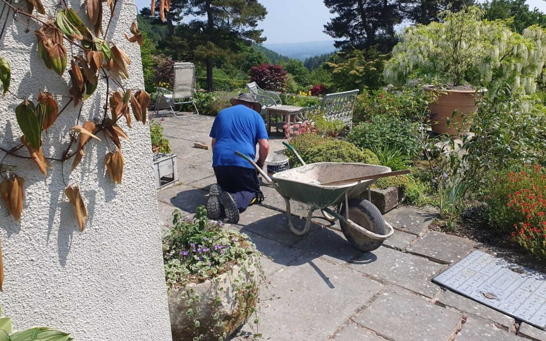 Professional Gardeners Do More Than Just Tend Your Garden Greenery