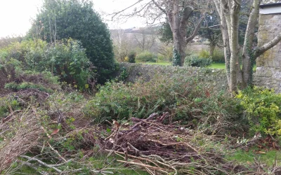 How To Clear and Restore Your Overgrown Garden: