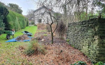 Winter Gardening In South Petherton – Hinton st George Somerset