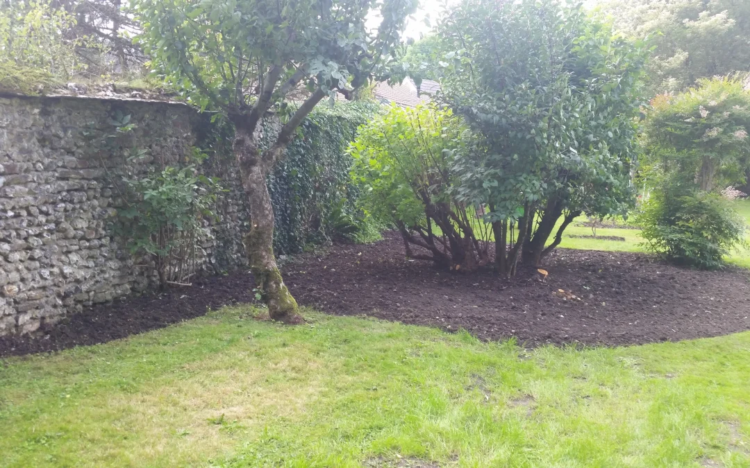 Garden Weeding: A Comprehensive Guide