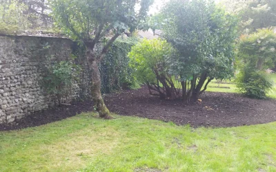 Garden Weeding: A Comprehensive Guide