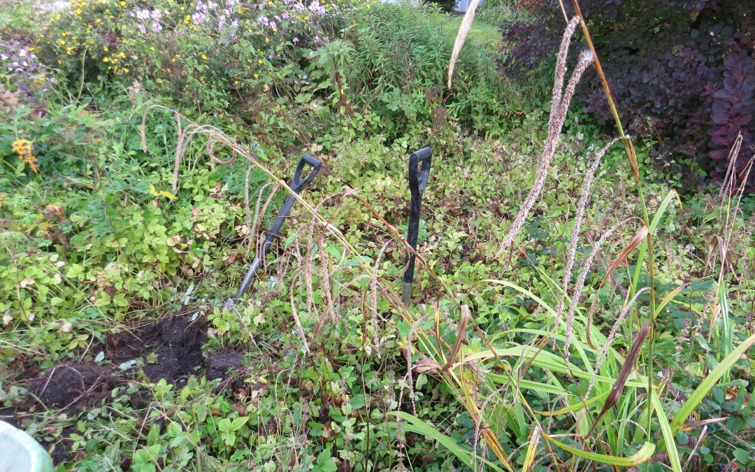 How To Get Rid Of Bindweed In Your UK Garden