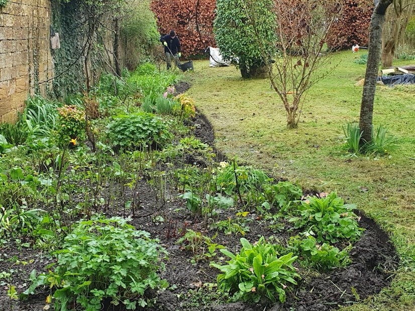 herbaceous border renovation